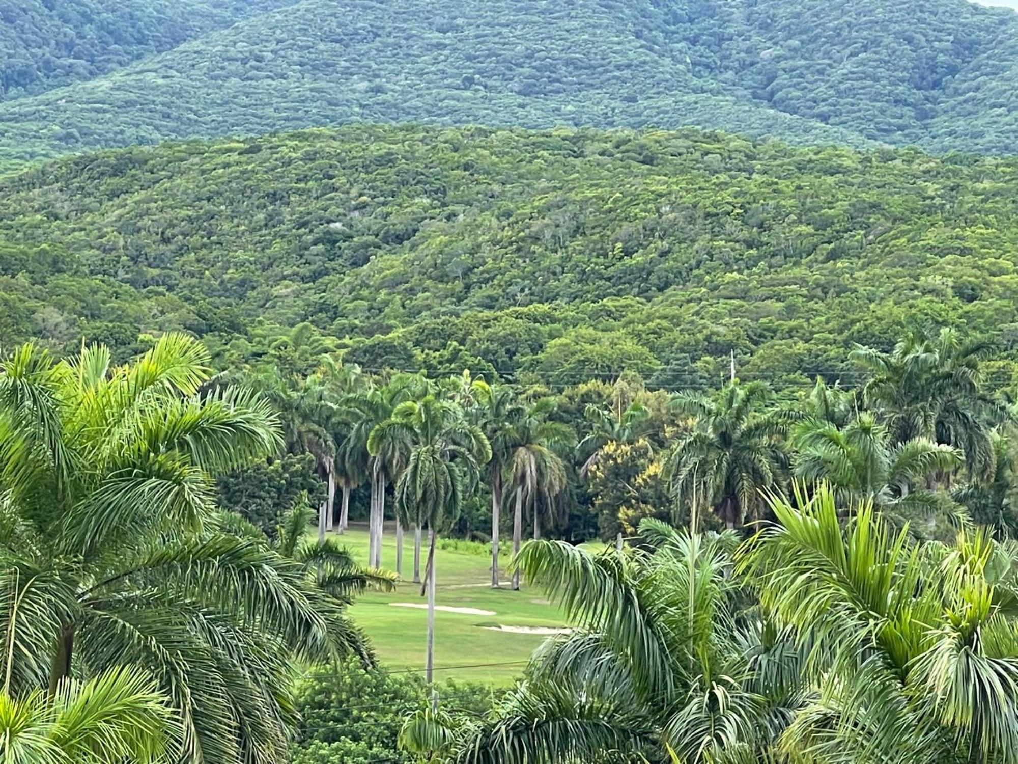 Aparthotel Marriott Seacastles E22, Montego Bay Exteriér fotografie